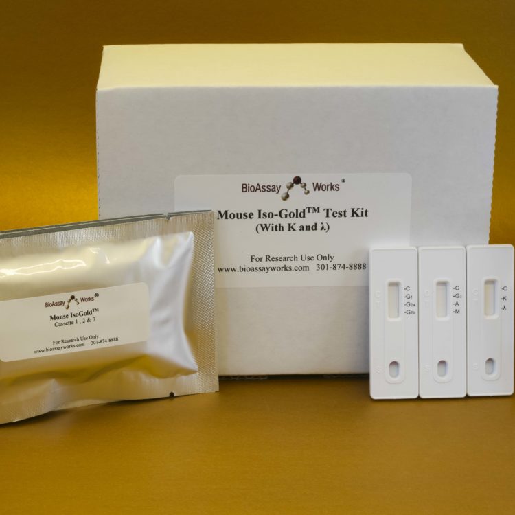 Iso-Gold™快速小鼠-单克隆同型分型κ和λ试剂盒，10个测试
