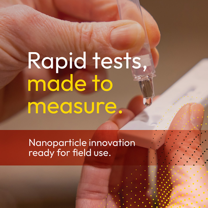 Graphic that read Rapid Tests made to Measure: Nanoparticle innovation ready for field use.